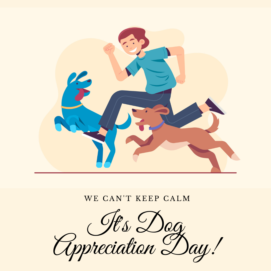 Know What You can do on Dog Appreciation Day Bigsmall Bigsmall.in