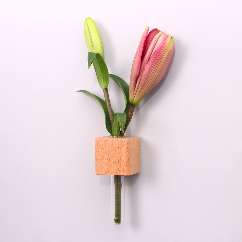 Wooden Planter Fridge Magnets - Set of 4